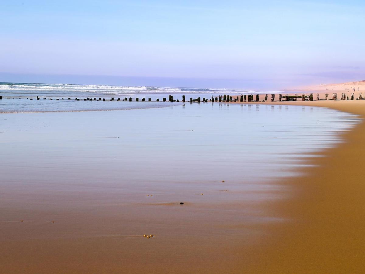 Studio Renove Face A La Dune, Proche Plage Et Commerces, Ideal Pour 2 Personnes - Fr-1-239-150 Seignosse Kültér fotó